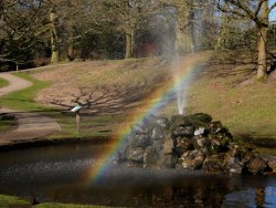 rainbow